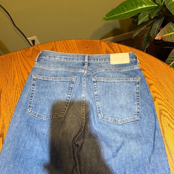 Everlane The Cheeky Jean Size 29 Regular - Picture 5 of 5